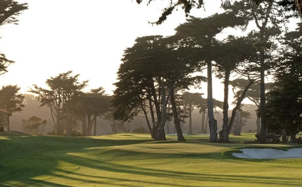 TPC Harding Park